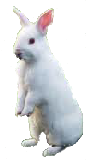wp46be00cd.png